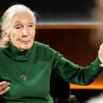 Jane Goodall